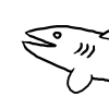 Riverfish