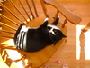2006-03-04_0001
