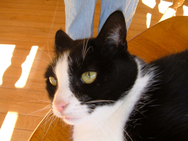 2006-03-04_0002