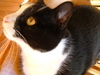 2006-03-04_0003