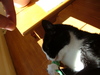 2006-03-04_0005
