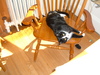 2006-03-04_0007