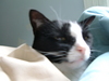 2006-05-10_0003