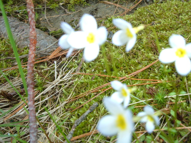 2006-05-27_0006