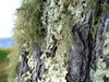 2006-05-27_0011