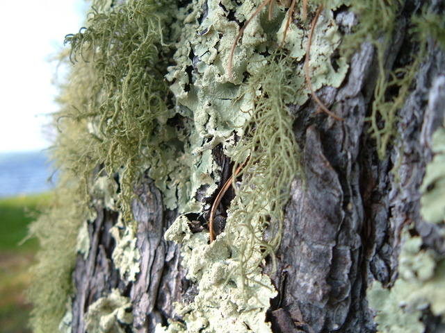 2006-05-27_0011