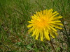 2006-05-27_0016