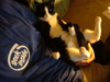 Thinkgeek action shots, here I come.