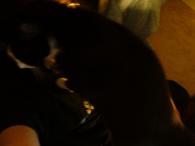 Philip was very in-your-face today.