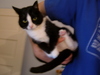 Why do you have to carry me around like this?