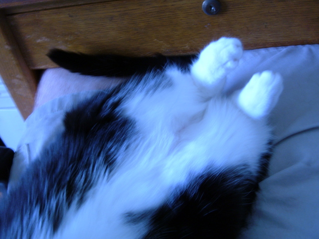 No explanation on this one either.