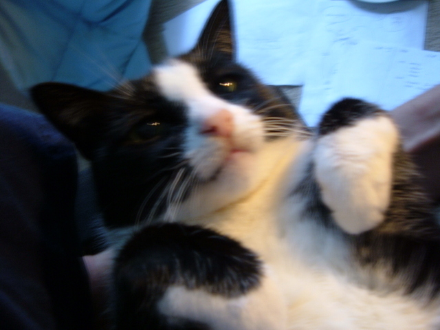 You lookin' at me, punk?
