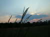 2006-07-02_0014
