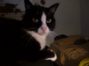 2006-08-14_0001