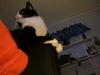 2006-08-14_0002