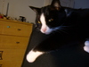 2006-08-20_0001
