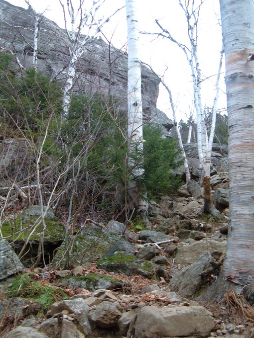 2006-11-23_0010
