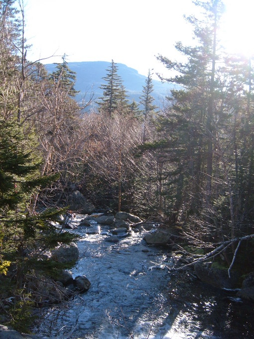 2006-11-25_0011
