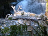 2006-11-25_0039