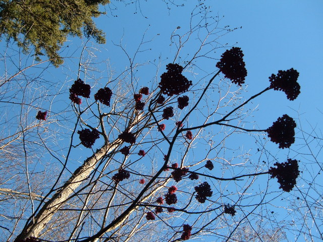 2006-11-25_0044