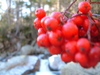 2006-11-25_0045