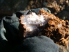 2006-11-25_0062