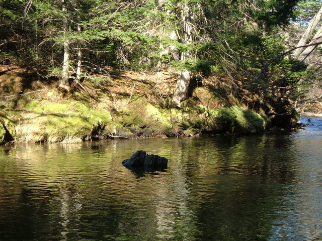 2006-11-25_0067
