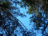 2006-11-25_0068