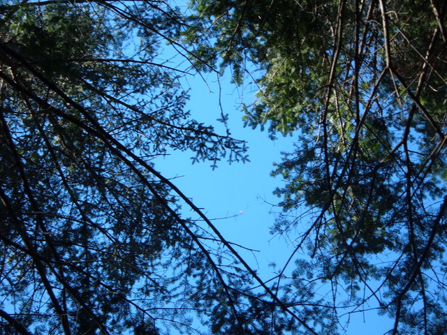 2006-11-25_0068