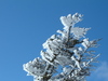 2007-03-11_0024