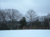 2007-03-17_0001