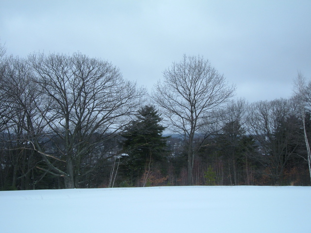2007-03-17_0001