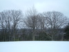 2007-03-17_0002