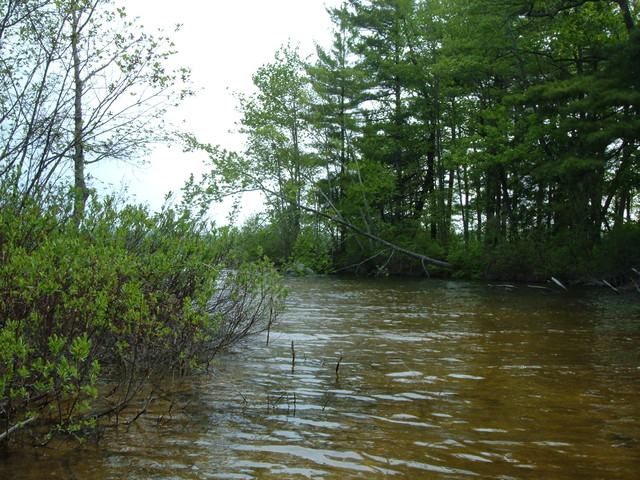 2007-05-27_0009