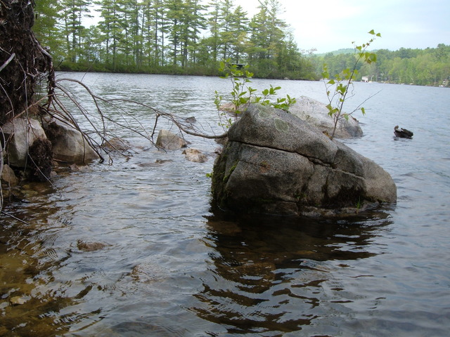 2007-05-27_0017