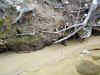 2007-05-27_0020