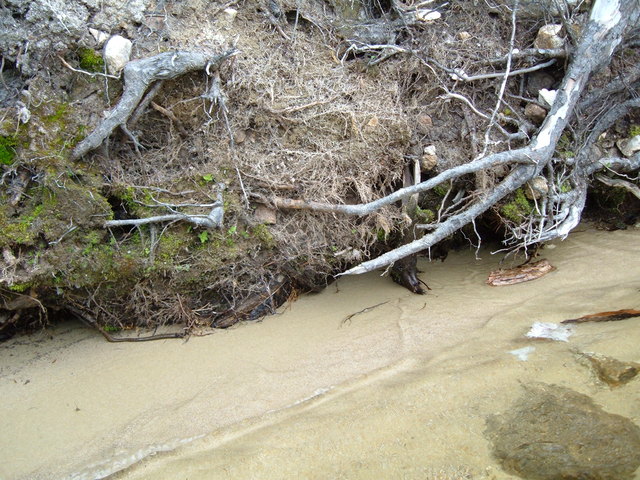 2007-05-27_0020