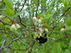 2007-05-27_0022