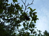 2007-05-27_0023