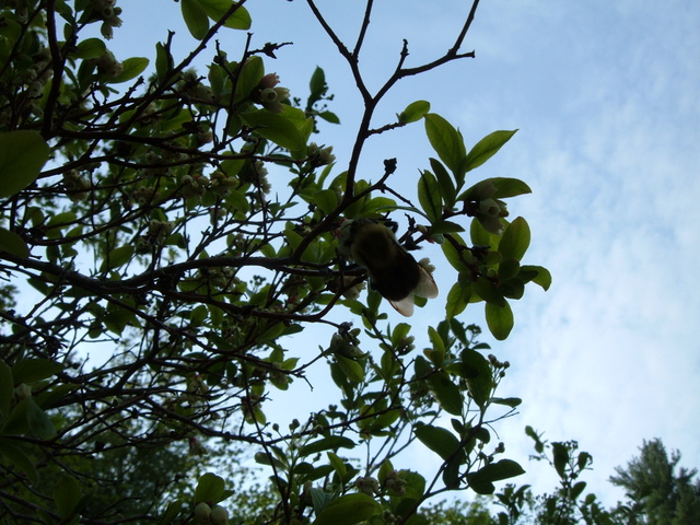 2007-05-27_0023