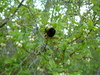2007-05-27_0024