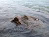 2007-05-27_0026