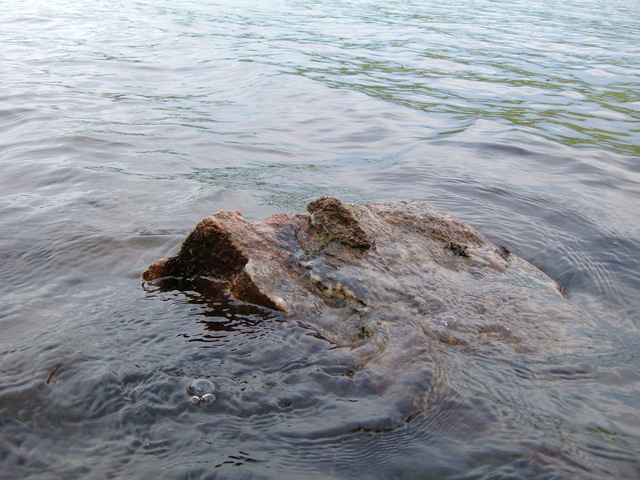 2007-05-27_0026