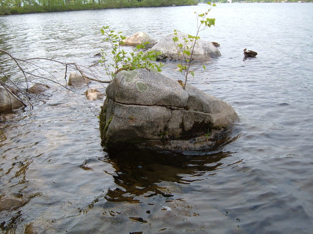 2007-05-27_0027
