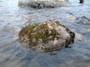 2007-05-27_0028