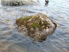2007-05-27_0029