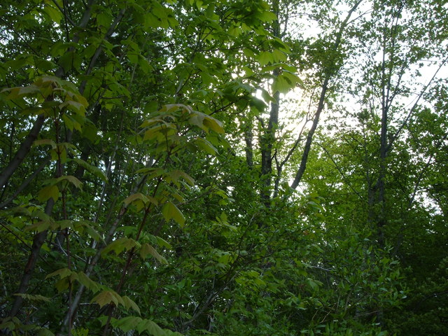 2007-05-27_0030