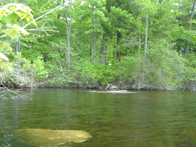 2007-05-27_0031
