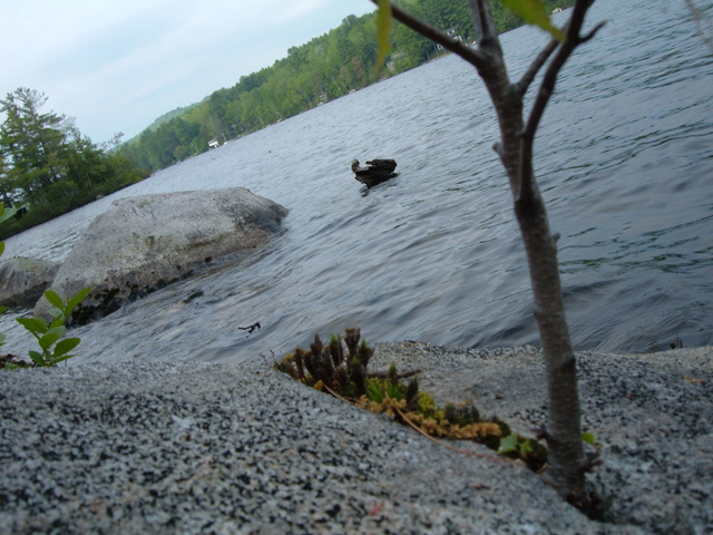 2007-05-27_0033