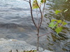 2007-05-27_0034